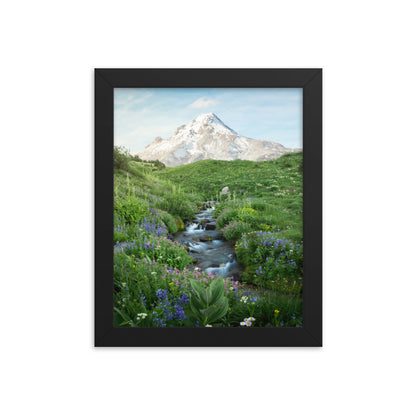 Michael Foushee - Hood Meadows Framed Print